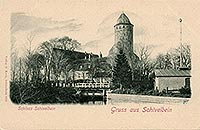 widwin - Zamek w widwinie na pocztwce z 1890 roku