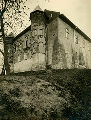 Zamek w Dbnie