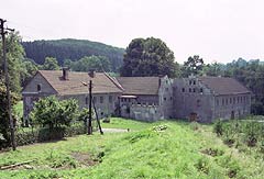 Zamek w Dzigielowie