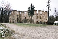 Zamek w Owienie