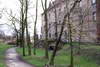 Zamek w Koźminie - Północne skrzydło zamku, fot. ZeroJeden, III 2002