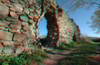 Zamek w Kurztniku - Widok wzdu zachodniej ciany zamku, fot. ZeroJeden, IV 2009