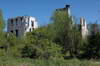 Zamek w Mokrsku Górnym - Widok od południa, fot. ZeroJeden, V 2005