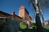Zamek w Olsztynku - fot. ZeroJeden, IV 2009