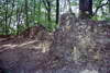Zamek w Ostrężniku - fot. ZeroJeden, VI 2000