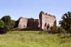 Zamek w Papowie Biskupim - Widok na ruiny od południa, fot. ZeroJeden, VI 2003