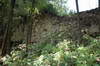 Zamek Rząsiny w Podskalu - Północna ściana, fot. ZeroJeden, V 2005