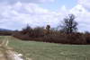 Zamek w Przystroniu - Widok od południowego-zachodu, fot. ZeroJeden, IV 2003