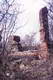 Zamek w Przystroniu - fot. JAPCOK, IV 2003