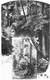 Zamek Cisy w Cisowie - Drzeworyt G.Heuera według rysunku T.Blätterbauera, przed 1887  [<a href=/bibl_ksiazka.php?idksiazki=456&wielkosc_okna=d onclick='ksiazka(456);return false;'>źródło</a>]