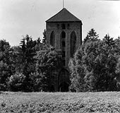 Zamek w Rognie - Zamek w Rognie na zdjciu z lat 1918-39