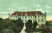 Ryn - Zamek w Rynie na zdjciu z 1914 roku