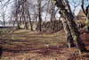 Zamek w Sobowidzu - Fosa i mur umocnień zamku, fot. JAPCOK, IV 2004