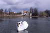Zamek w Stoszowicach - fot. ZeroJeden, IV 2003