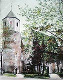 Strzelin - Zamek w Strzelinie na zdjęciu z lat 1900-03