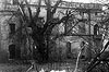Świerklaniec - Ruiny zamku w Świerklańcu przed ostateczną rozbiórką na zdjęciu z 1963 roku