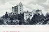 Zamek Świny - Zamek na widokówce z 1899 roku