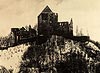 Zamek Świny - Zamek w Świnach w 1903 roku