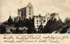 Zamek Świny - Zamek na pocztówce z 1905 roku