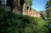 Zamek w Toszku - Południowy odcinek muru obwodowego od strony dziedzińca, fot. ZeroJeden, V 2009
