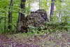 Zamek Trzcieniec - fot. ZeroJeden, IX 2001