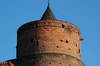 Zamek w Uniejowie - fot. ZeroJeden, V 2005