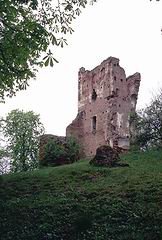 Zamek w Borysławicach