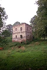 Zamek w Dbrwce Starzeskiej
