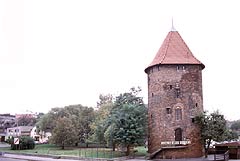 Zamek w Gdasku