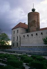 Zamek w Gogowie