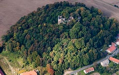 Zamek Gryf w Proszwce