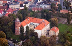 Zamek w Koźminie