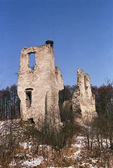Zamek w Mokrsku Górnym