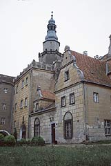 Zamek w Olenicy