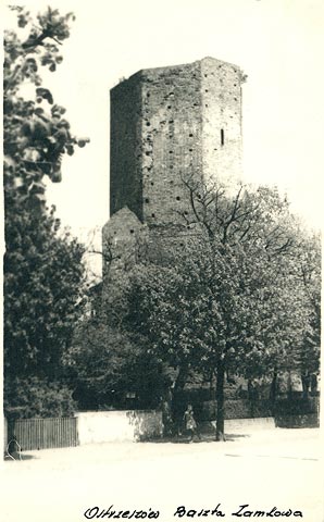 Zamek w Ostrzeszowie