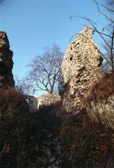 Zamek w Smoleniu