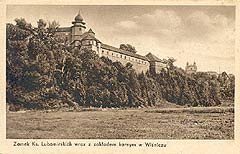 Zamek w Winiczu Nowym