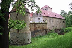 Zamek w Witostowicach